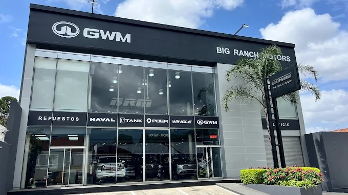 Vinil GWM